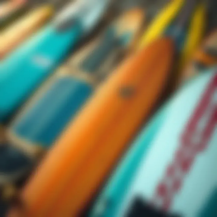 A variety of longboards showcasing different designs and colors