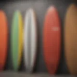 Various types of foam surfboards displayed in a lineup