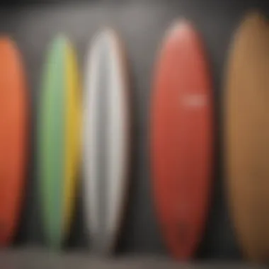 Various types of foam surfboards displayed in a lineup