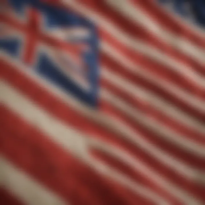 Close-up of intricate design details on a Hawaiian flag