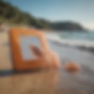 Beach scene with warning signs for jellyfish hazards