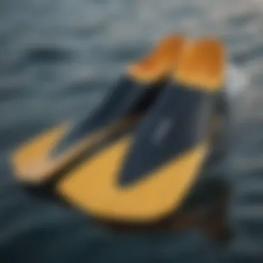 Innovative Swim Fins with Advanced Comfort Technology