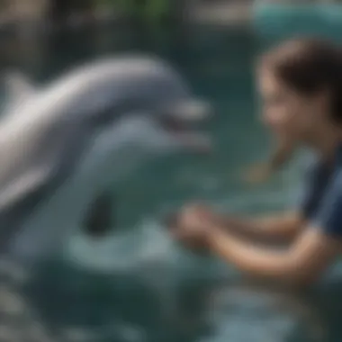 A dolphin interacting with a marine researcher, highlighting their intelligence and capacity for learning.