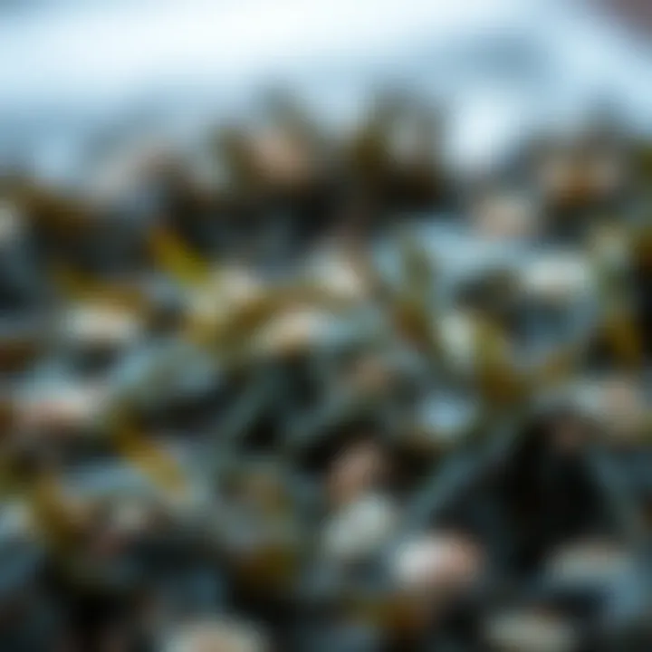 Antioxidants present in roasted seaweed