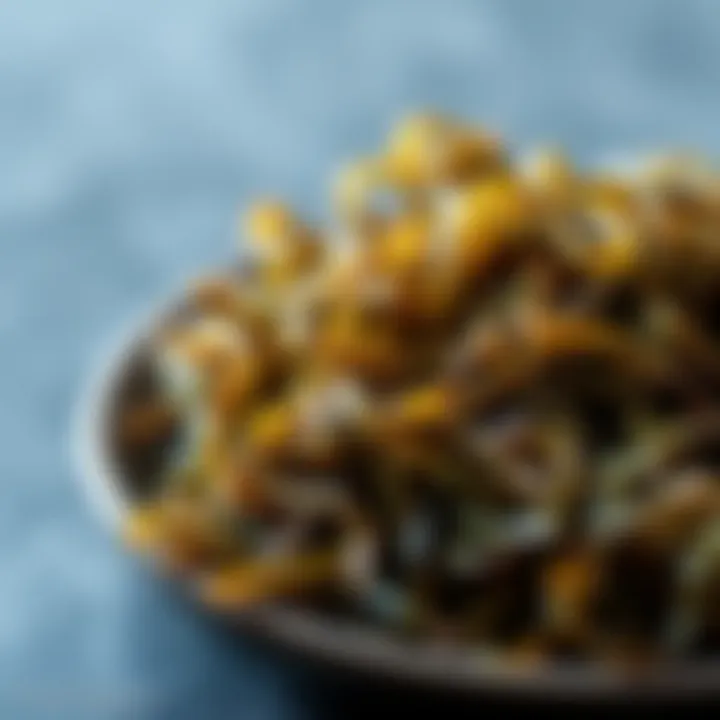 Mineral-rich seaweed displayed on a plate