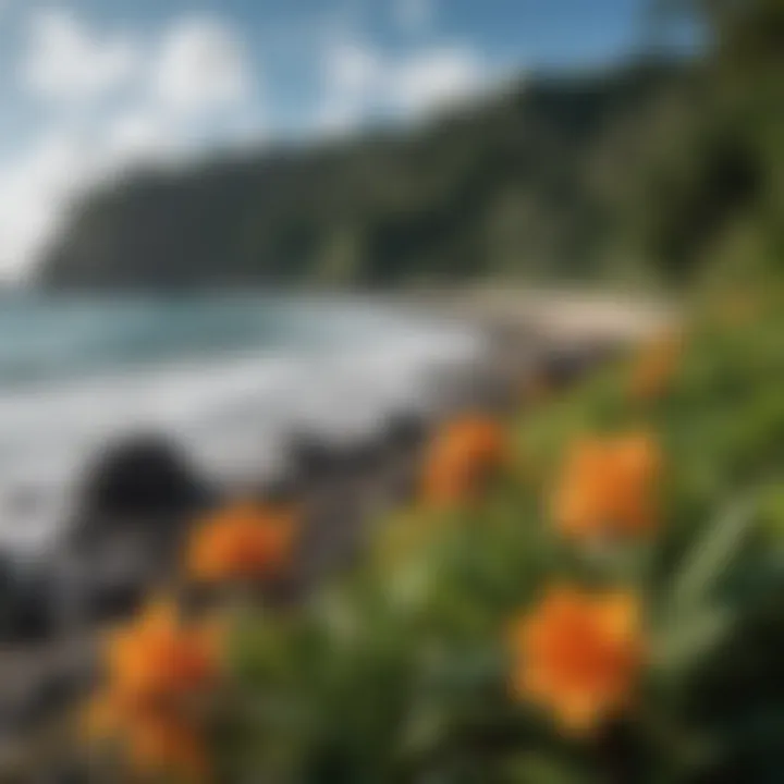 Tropical flora framing the picturesque coastline of Lapoint Costa Rica