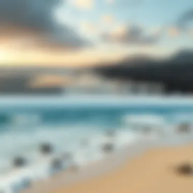 Impact of Cleanup Initiatives on Coastal Areas Before and after images of a cleaned beach area