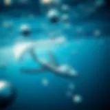 Technological Innovations in Ocean Cleanup Innovative ocean cleaning technology in action