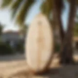 Weathered surfboard leaning against a palm tree