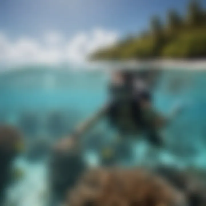 Snorkeler exploring a diverse marine ecosystem