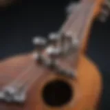 Close-up of a ukulele with tuning pegs in focus