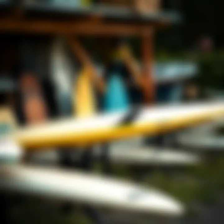 Variety of MBB Surfboard Racks Different types of MBB surfboard racks displayed outdoors