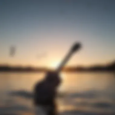 Musical notes floating in the air with a ukulele silhouette