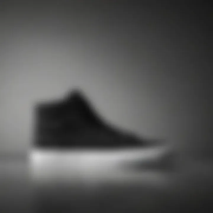 Minimalistic and sleek skate sneaker silhouette in black and white