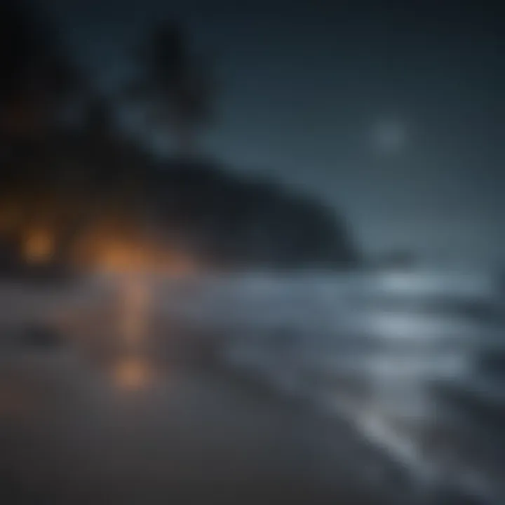 Moonlit beach with gentle ocean sounds