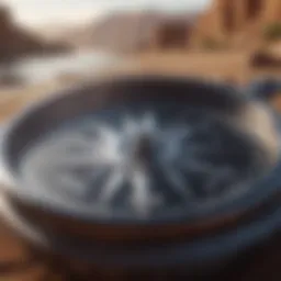 A compass showing the southwest direction clearly marked.