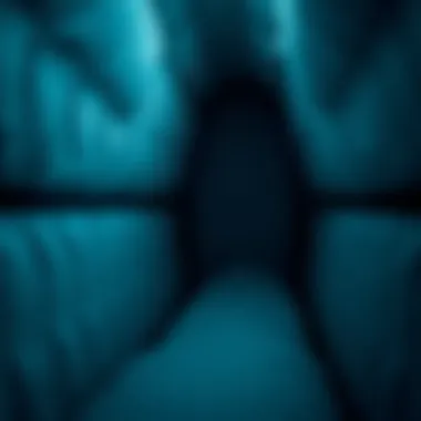 Protection and Padding Interior view of a padded surfboard bag