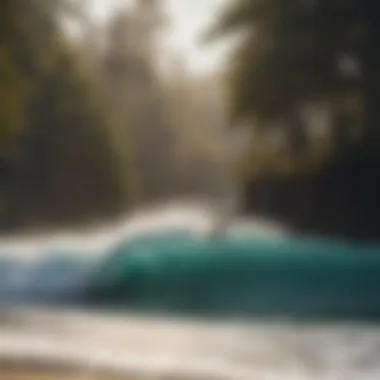 Surfer carving the waves at Pine Trees Beach