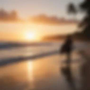 Sunset silhouette of surfers at Playa Grande