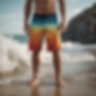 Quiksilver Signature Boardshorts Styles