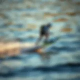 High-Performance RC Surfer in Action A high-performance RC surfer gliding over water