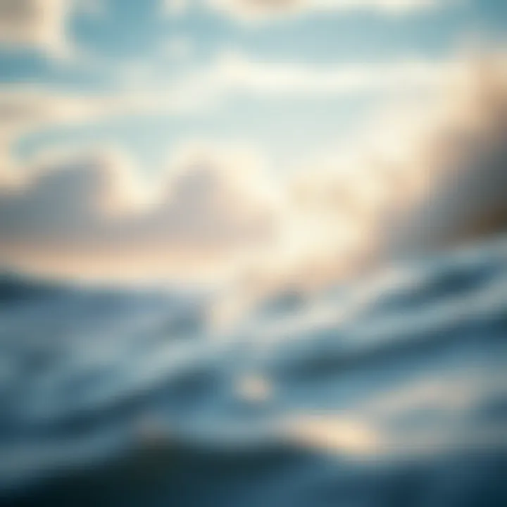 Regional variations in wind patterns across different climates