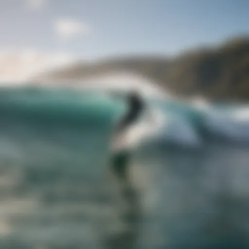 Surfer catching a wave at Rip Curl Kauai