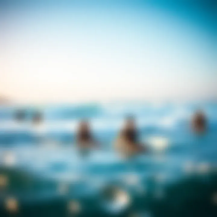 Harmony with the Ocean: Surfers in Rip Curl A scenic view of surfers in Rip Curl gear enjoying the waves, illustrating the brand's connection to the ocean.