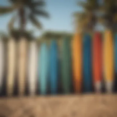 Surfboards lined up ready for a lesson