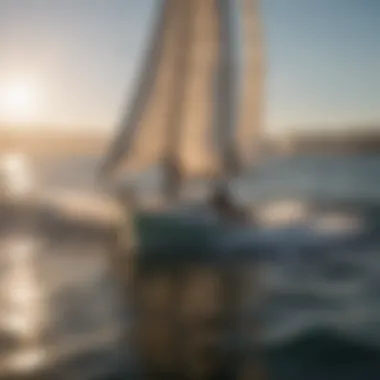 Sailboats navigating the San Diego waters during optimal swell