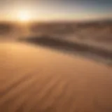 Sand Dunes under the Golden Sun