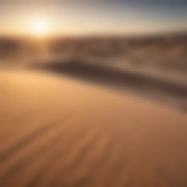 Sand Dunes under the Golden Sun