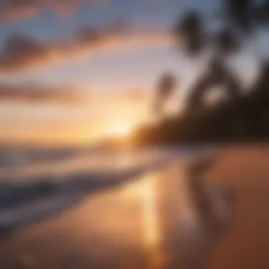 Scenic Hawaiian beach at sunset