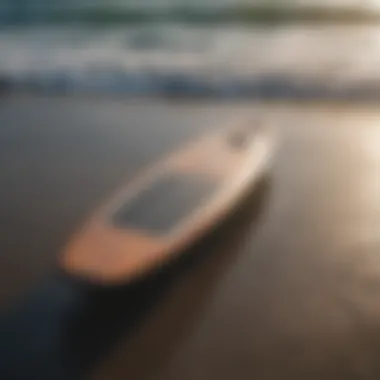 Sleek and Stylish Electric Surfboard