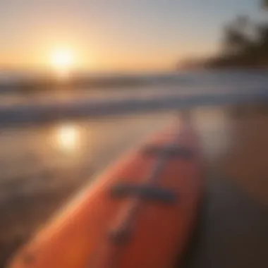 Soft top surfboard lineup against sunset