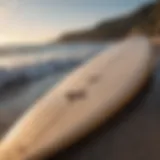 Eco-friendly surfboard against ocean backdrop