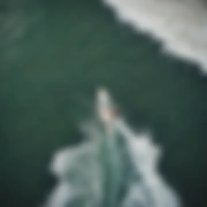 An aerial view showcasing surfers catching waves