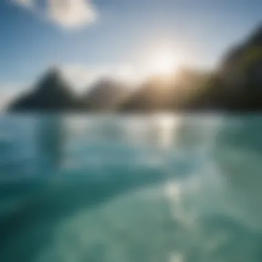 Surfboard on Crystal Clear Waters of Moorea