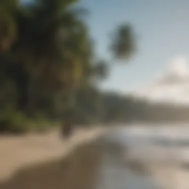 Surfer walking along the palm-fringed shore of Playa Matapalo in Quepos, Costa Rica