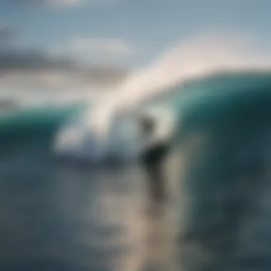 Surfer on Big Island's pristine waves