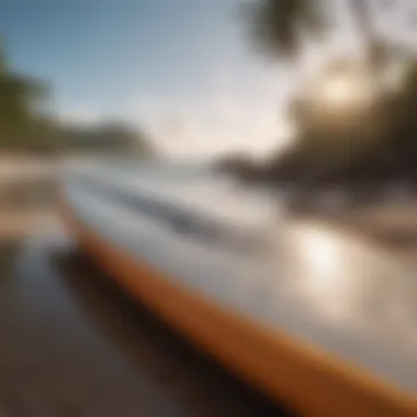 Hurley Surfing Board on Tropical Shoreline