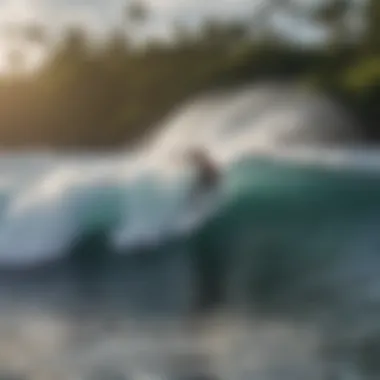 Surfer navigating a wave at Carlsmith Beach Park in Hilo