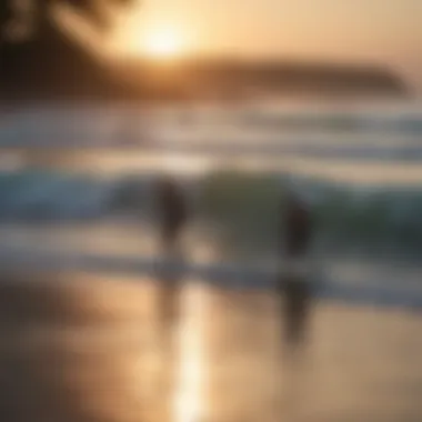 Group of surfers enjoying the waves at sunset