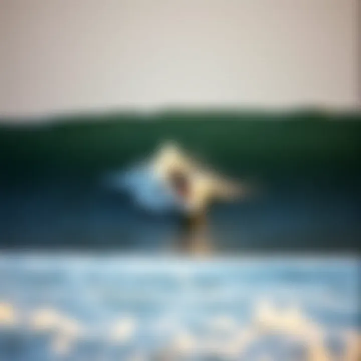 Perfect Ride: Surfing at Hatteras A surfer riding a perfect wave at Hatteras