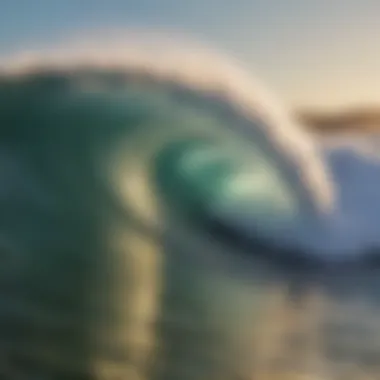 Detailed view of the wave formation at Lower Trestles, highlighting its unique characteristics