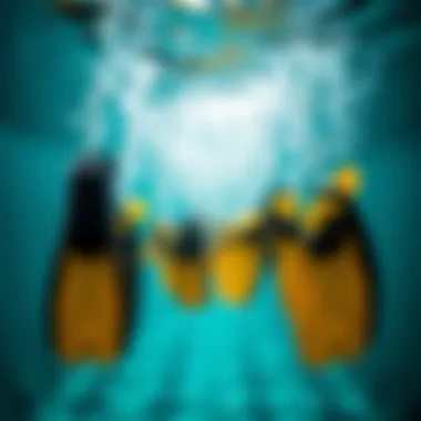 Various types of swim fin strap designs