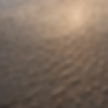 Close-up of textured cheap skimboard surface