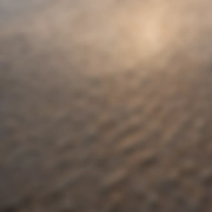 Close-up of textured cheap skimboard surface