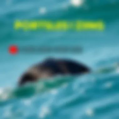 Guidelines for Proper Wetsuit Sizing A detailed sizing chart for wetsuits with guidance on how to measure