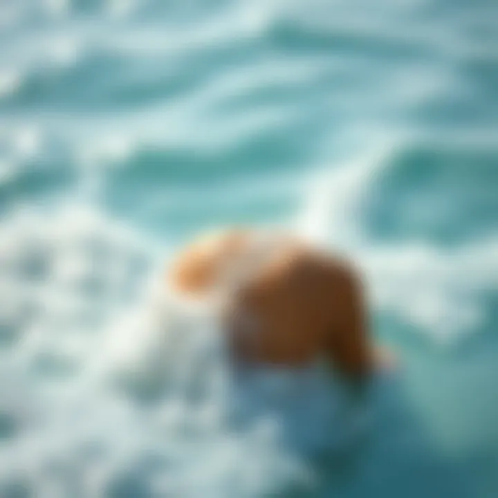 Innovative salt water uses in modern wellness